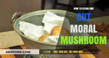 Cleaning and Cutting Morel Mushrooms: A Step-by-Step Guide