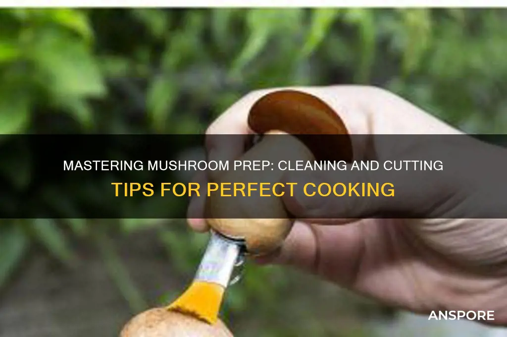how to clean and cut mushroom before cooking