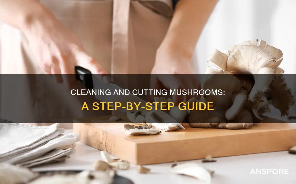 how to clean and cut mushroom