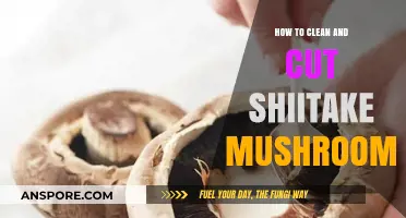 Cleaning and Cutting Shiitake Mushrooms: A Step-by-Step Guide