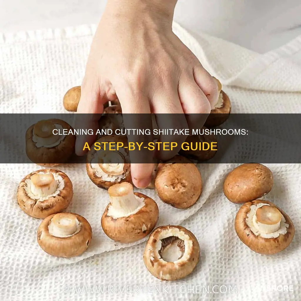 how to clean and cut shiitake mushrooms