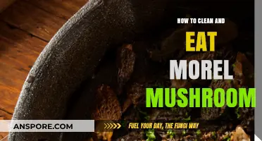 Mastering Morel Mushrooms: Cleaning and Cooking Tips for Delicious Meals