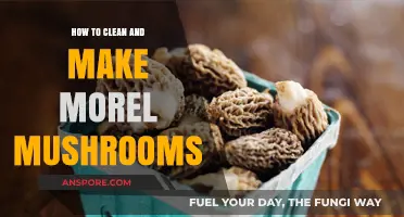 Mastering Morel Mushrooms: Cleaning and Cooking Techniques for Perfect Results