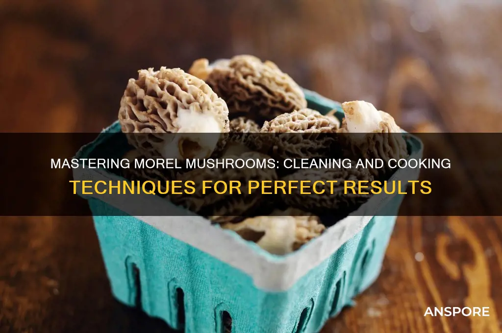how to clean and make morel mushrooms
