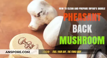 Cleaning and Cooking Dryad's Saddle Mushrooms