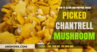 Cleaning and Preparing Fresh Chantrell Mushrooms