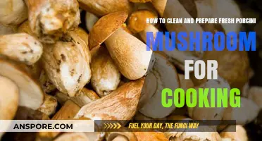 Mastering Porcini Prep: Cleaning and Cooking Fresh Mushrooms Perfectly