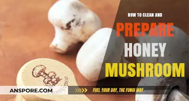 Cleaning and Preparing Honey Mushrooms: A Step-by-Step Guide
