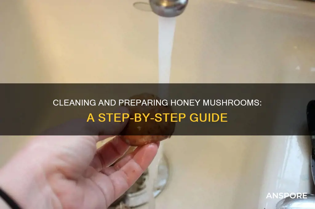how to clean and prepare honey mushrooms