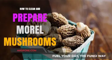 Mastering Morel Mushrooms: Cleaning and Prepping for Perfect Dishes