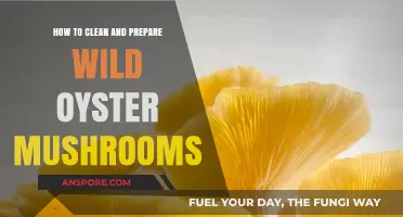 Cleaning and Cooking Wild Oyster Mushrooms