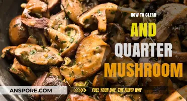 Cleaning and Quartering Mushrooms: A Step-by-Step Guide