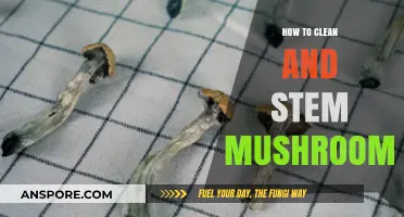 Cleaning and Stemming Mushrooms: A Step-by-Step Guide