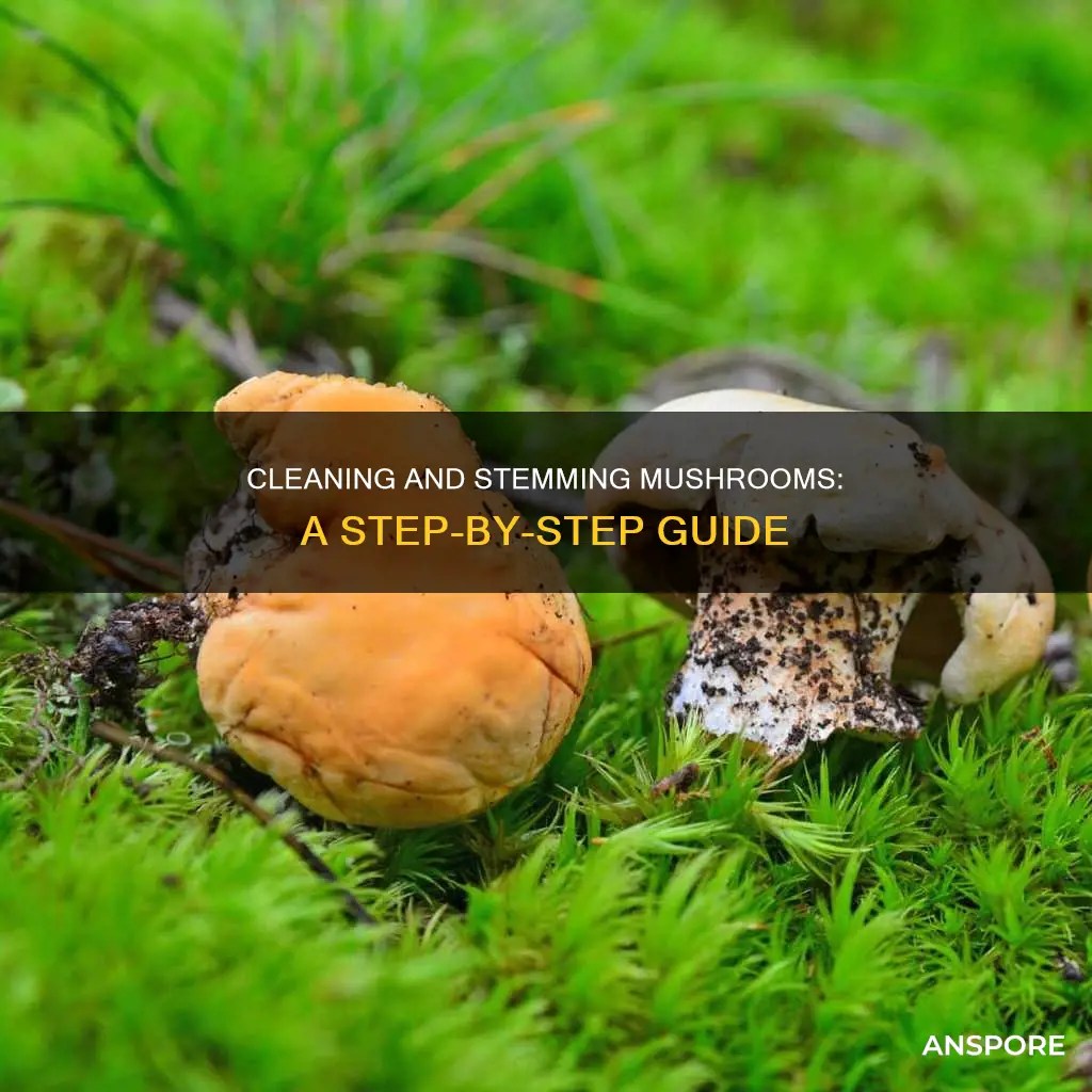 how to clean and stem mushrooms
