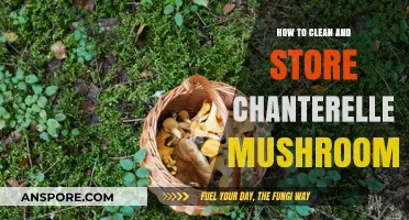 Cleaning and Storing Chanterelles: A Step-by-Step Guide