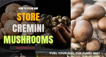 Cleaning and Storing Cremini Mushrooms: A Step-by-Step Guide