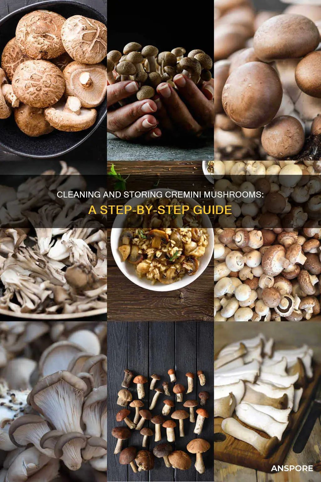 how to clean and store cremini mushrooms