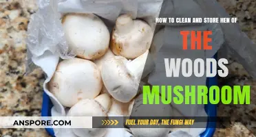 Cleaning and Storing Hen of the Woods Mushrooms: A Guide