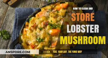 Storing and Cleaning Lobster Mushrooms: A Step-by-Step Guide