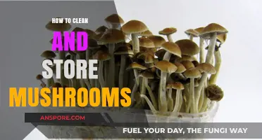 Cleaning and Storing Mushrooms: A Step-by-Step Guide