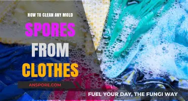 Effective Mold Removal: Cleaning Spores from Clothes Safely and Easily