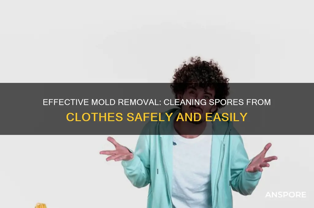 how to clean any mold spores from clothes