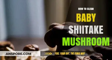 Cleaning Baby Shiitake Mushrooms: A Step-by-Step Guide