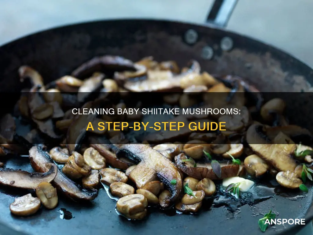how to clean baby shiitake mushrooms