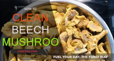 Cleaning Beech Mushrooms: A Step-by-Step Guide