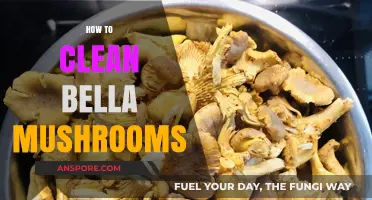 Cleaning Bella Mushrooms: A Step-by-Step Guide