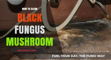 Effective Cleaning Tips for Black Fungus Mushroom: A Step-by-Step Guide
