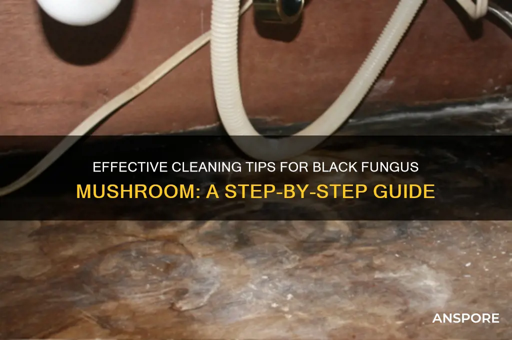 how to clean black fungus mushroom