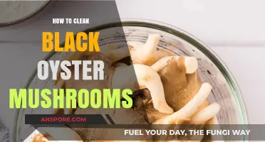 Mastering the Art of Cleaning Black Oyster Mushrooms: A Step-by-Step Guide