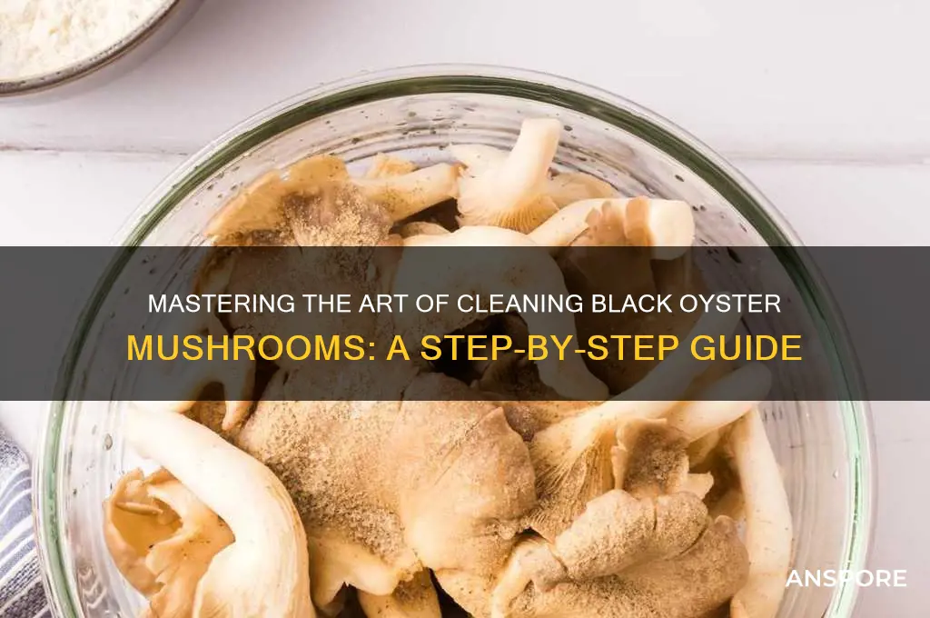 how to clean black oyster mushrooms