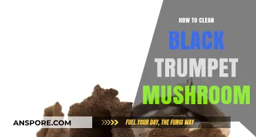 Mastering the Art of Cleaning Black Trumpet Mushrooms: A Step-by-Step Guide