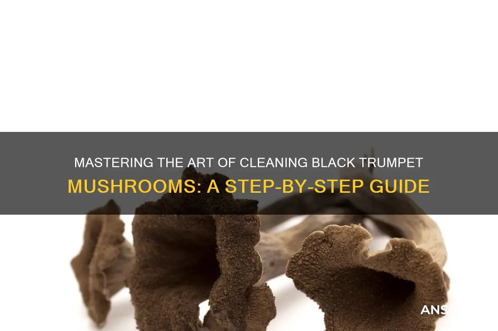 how to clean black trumpet mushrooms