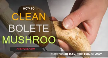 Cleaning Bolete Mushrooms: A Step-by-Step Guide