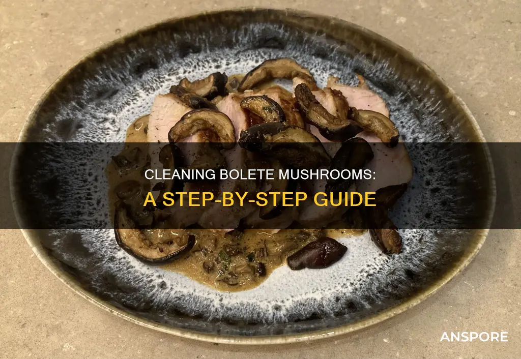 how to clean bolete mushrooms