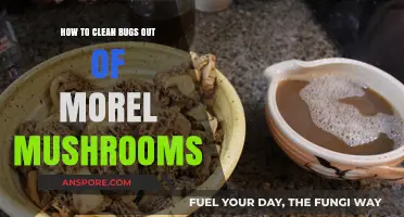 Effective Techniques for Removing Bugs from Morel Mushrooms Safely