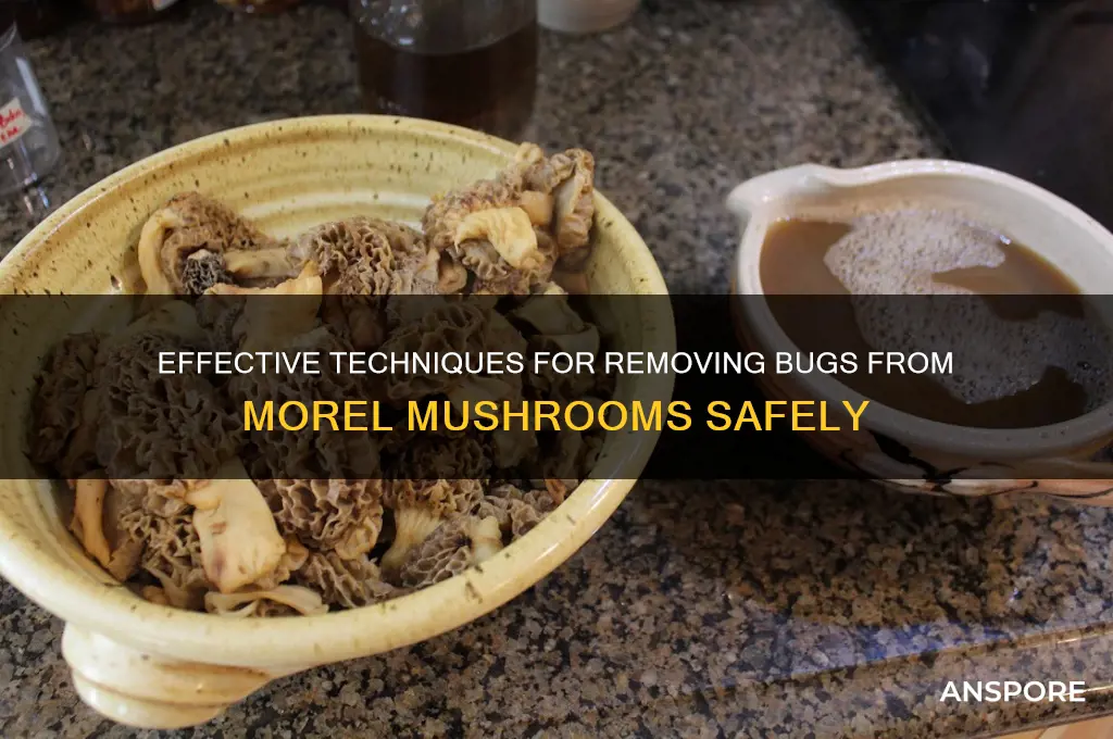 how to clean bugs out of morel mushrooms