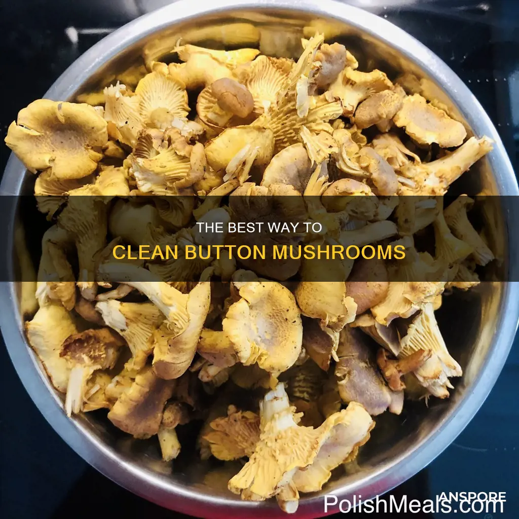 how to clean button mushroom