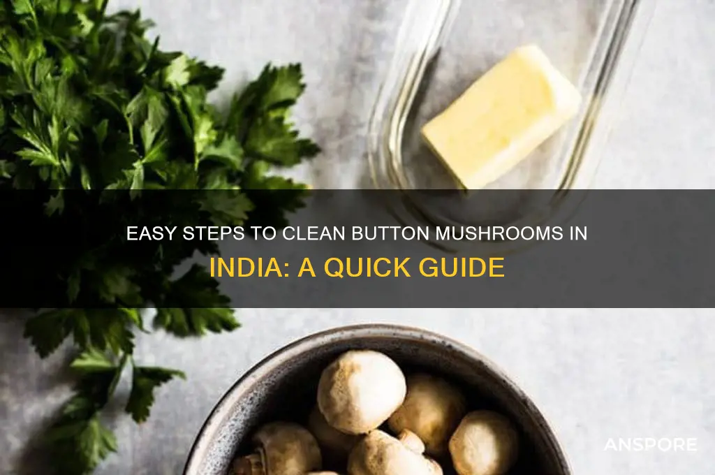 how to clean button mushrooms in india