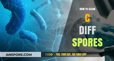 Effective Strategies for Cleaning and Disinfecting C. Diff Spores Safely