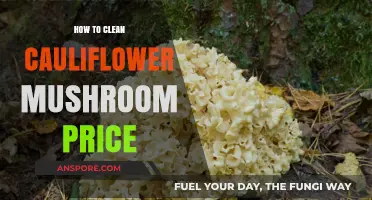Effective Cleaning Tips for Cauliflower Mushrooms at Affordable Prices