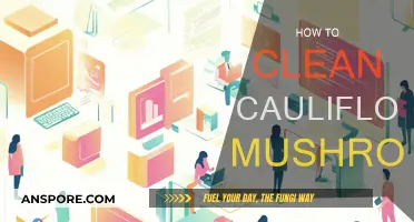 Cleaning Cauliflower Mushrooms: A Step-by-Step Guide