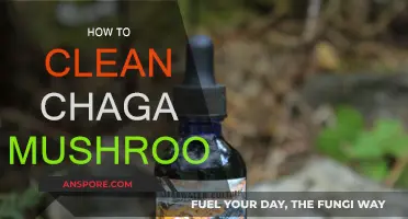 The Ultimate Guide to Cleaning Chaga Mushrooms