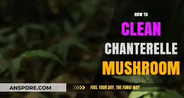 The Ultimate Guide to Cleaning Chanterelle Mushrooms