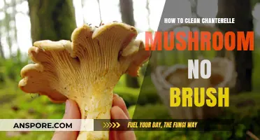 Effortless Chanterelle Cleaning: Brush-Free Tips for Perfect Mushrooms