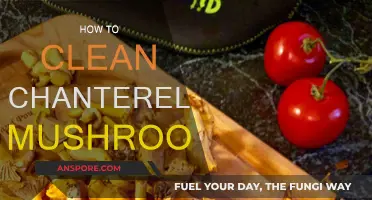 The Ultimate Guide to Cleaning Chanterelles
