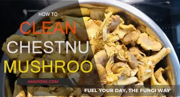 The Ultimate Guide to Cleaning Chestnut Mushrooms
